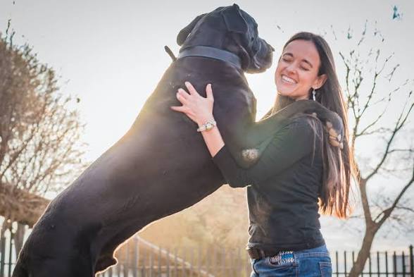 PET TRANSPORT FOR CATS,DOGS,RODENTS,AND OTHER SMALL ANIMALS