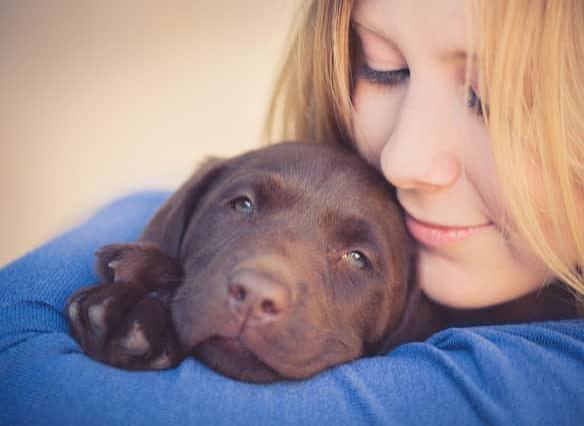 PET TRANSPORT FOR CATS,DOGS,RODENTS,AND OTHER SMALL ANIMALS